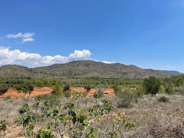 Terreno en plaza Numero 12, 631 a