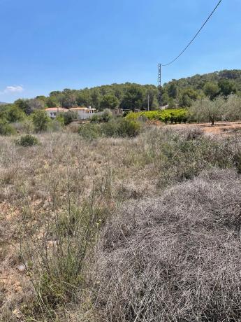 Terreno en plaza Numero 12, 631 a