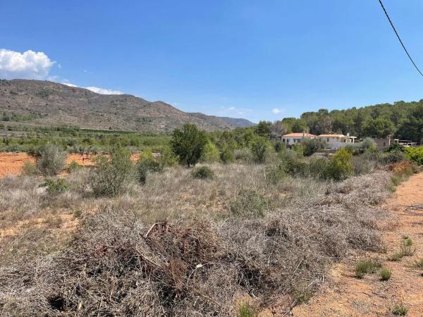 Terreno en plaza Numero 12, 631 a