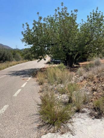Terreno en plaza Numero 12, 631 a