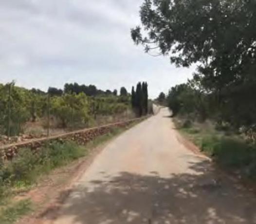 Terreno en Paraje de la Baseta s/n