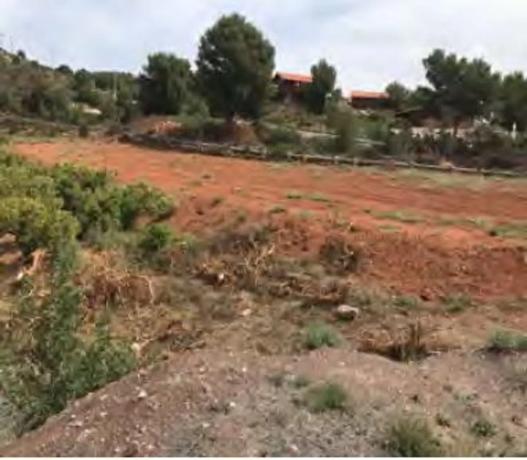 Terreno en Paraje de la Baseta s/n