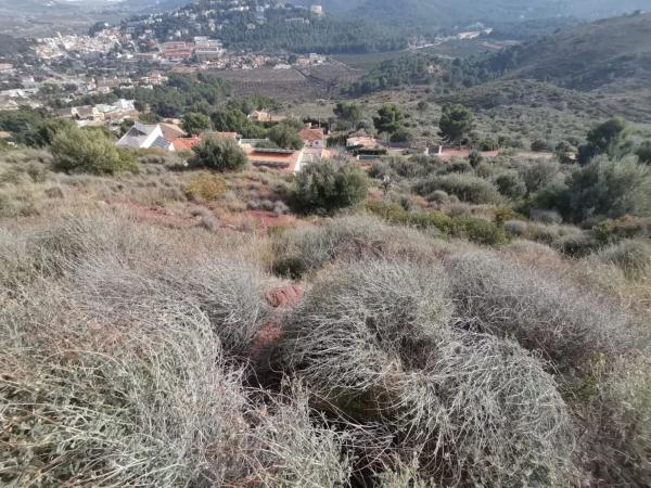 Terreno en calle Mar Egeo s/n
