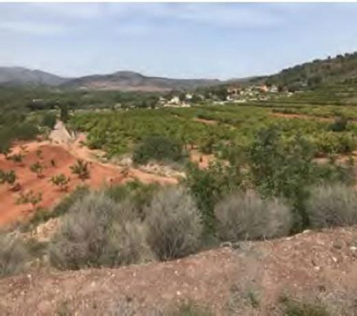 Terreno en Paraje de la Baseta s/n