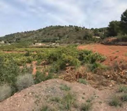 Terreno en Paraje de la Baseta s/n