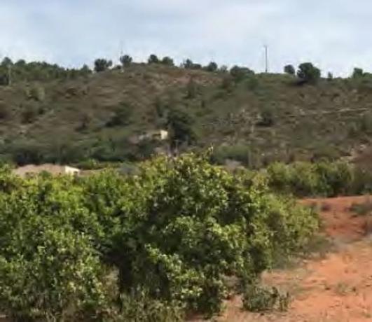 Terreno en Paraje de la Baseta s/n