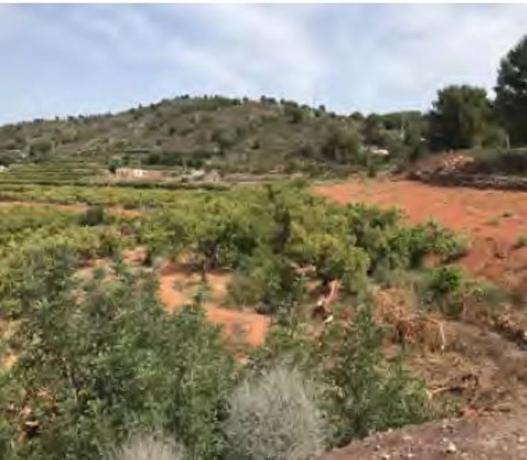 Terreno en Paraje de la Baseta s/n