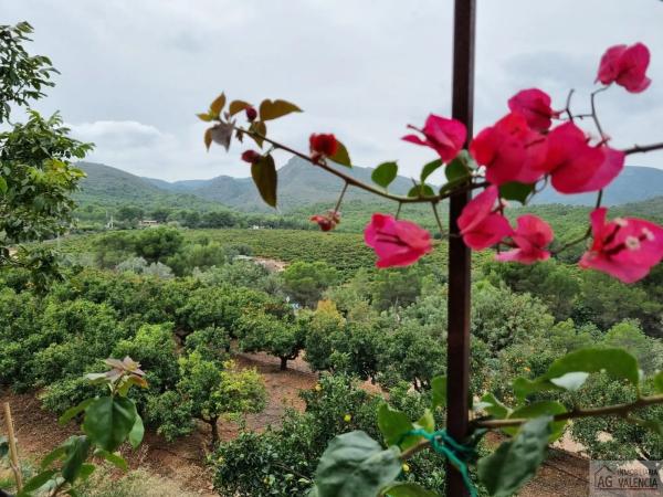 Terreno en Torres-Torres