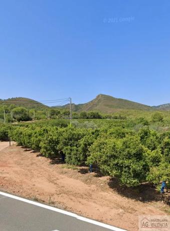 Terreno en Torres-Torres