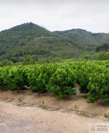 Terreno en Torres-Torres