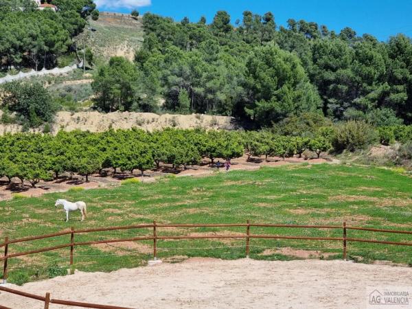 Terreno en Torres-Torres