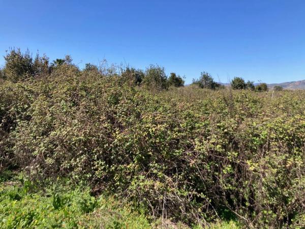 Terreno en plaza Numero 29, 373