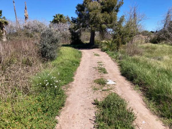 Terreno en plaza Numero 29, 373