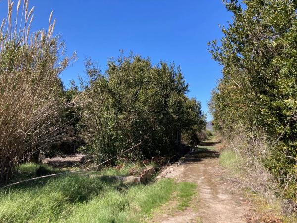 Terreno en plaza Numero 29, 373