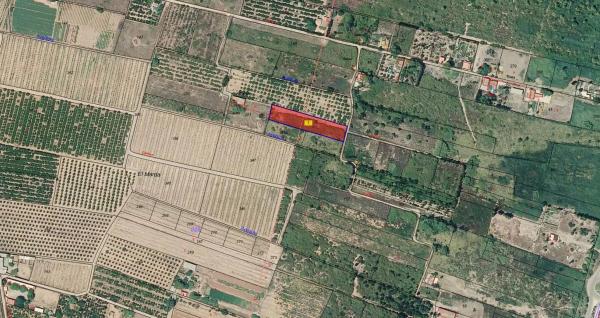 Terreno en plaza Numero 29, 373