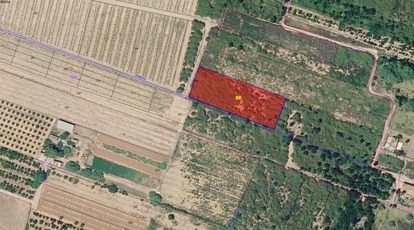 Terreno en plaza Numero 29, 373