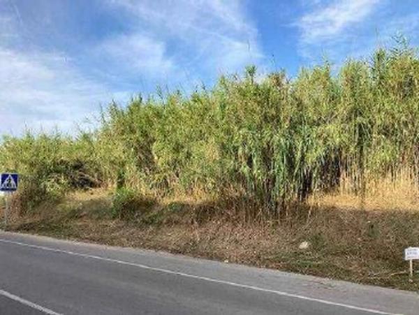 Terreno en plaza Numero 29, 373