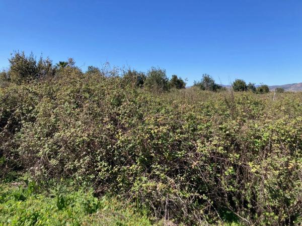 Terreno en plaza Numero 29, 373