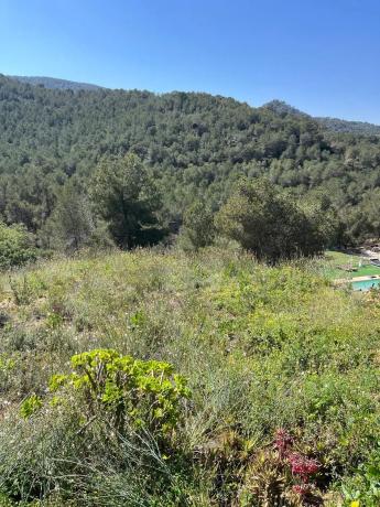 Terreno en avenida Rambleta Pau, 45