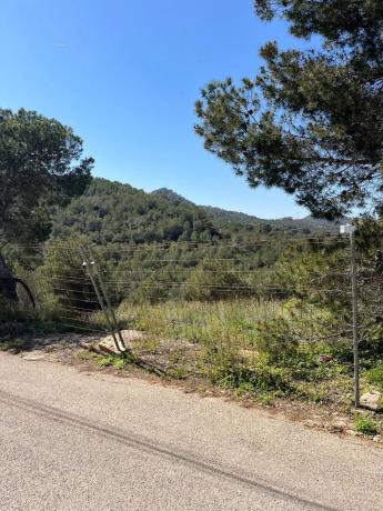 Terreno en avenida Rambleta Pau, 45