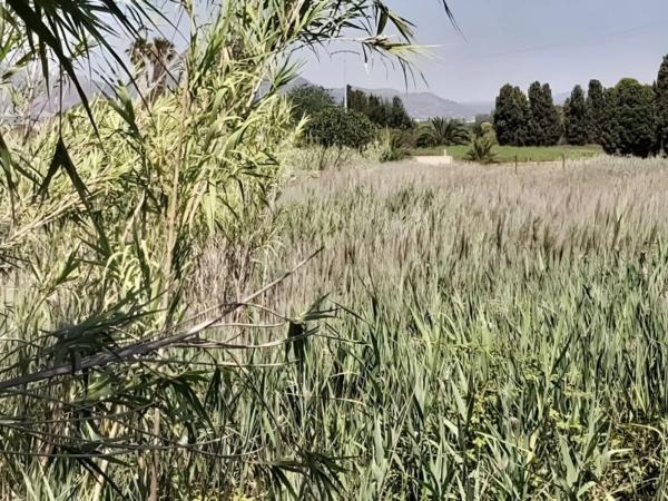 Terreno en Passatge Senda del Rei