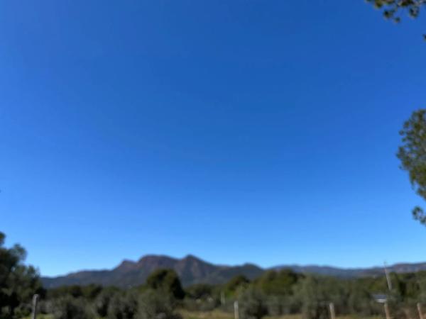 Terreno en polígono 7 parcela 208 s/n