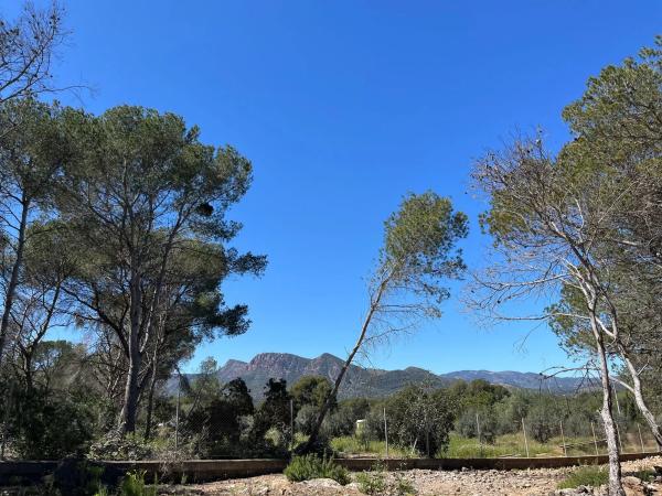 Terreno en polígono 7 parcela 208 s/n