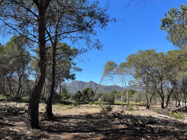Terreno en polígono 7 parcela 208 s/n