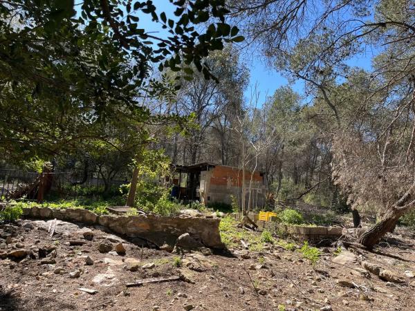 Terreno en polígono 7 parcela 208 s/n