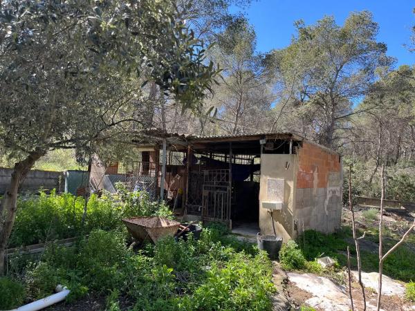 Terreno en polígono 7 parcela 208 s/n