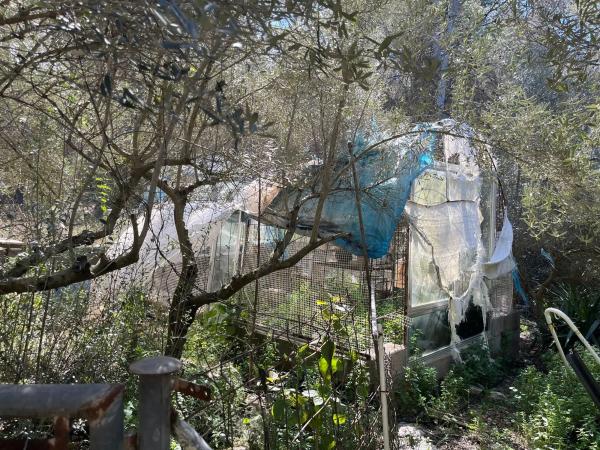 Terreno en polígono 7 parcela 208 s/n