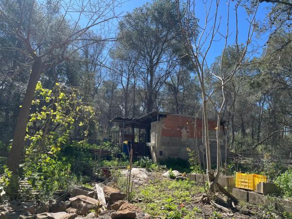 Terreno en polígono 7 parcela 208 s/n