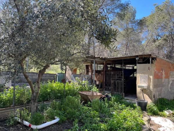 Terreno en polígono 7 parcela 208 s/n