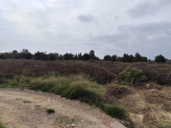 Terreno en avenida de Montiber, 1