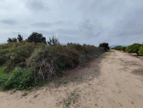 Terreno en avenida de Montiber, 1
