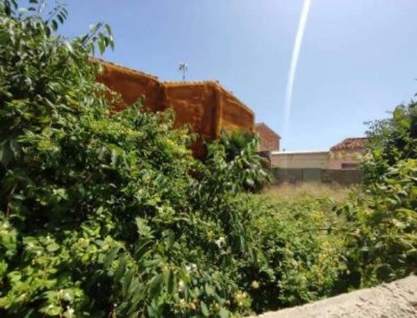 Terreno en calle Cirilo Amorós