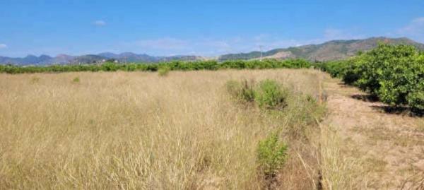 Terreno en avenida de Montiber