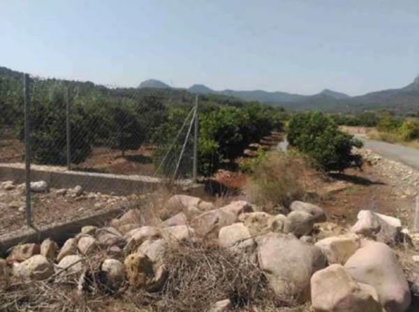 Terreno en camino de la Sarva