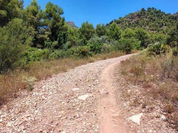 Terreno en calle El Coscollar