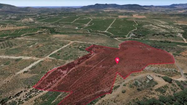 Terreno en Poligono 7