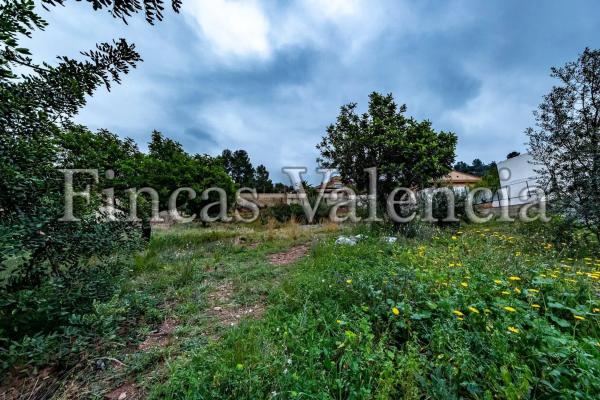 Terreno en calle Bosch Marín