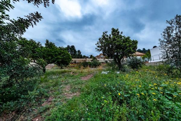 Terreno en calle Bosch Marín