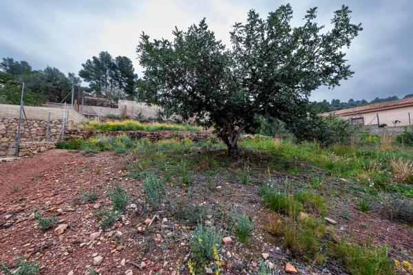 Terreno en calle Bosch Marín