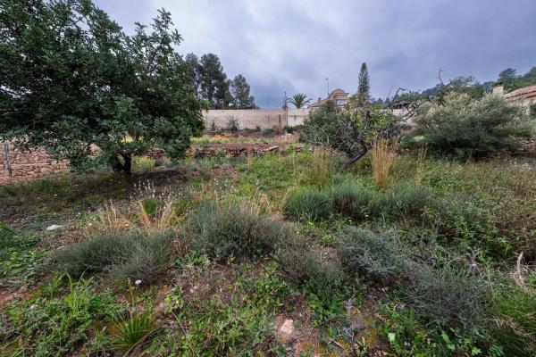 Terreno en calle Bosch Marín