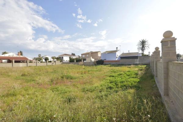 Terreno en calle de l'Ànec Blanc