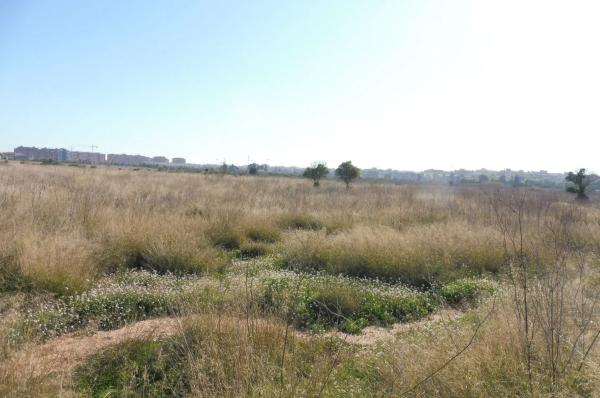 Terreno en calle d'Almudàfer