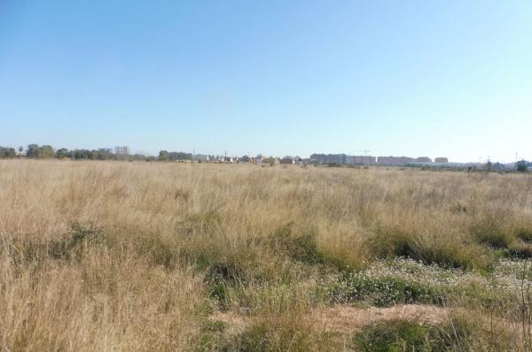 Terreno en calle d'Almudàfer