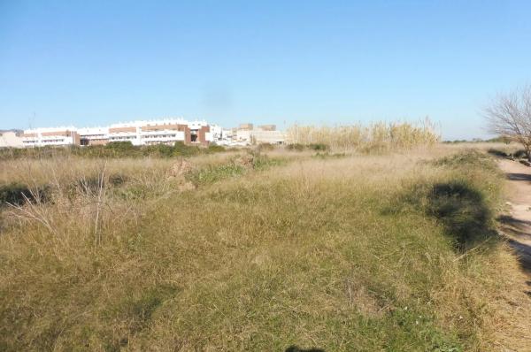 Terreno en calle d'Almudàfer
