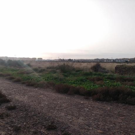 Terreno en calle d'Almudàfer