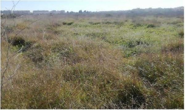 Terreno en calle d'Almudàfer